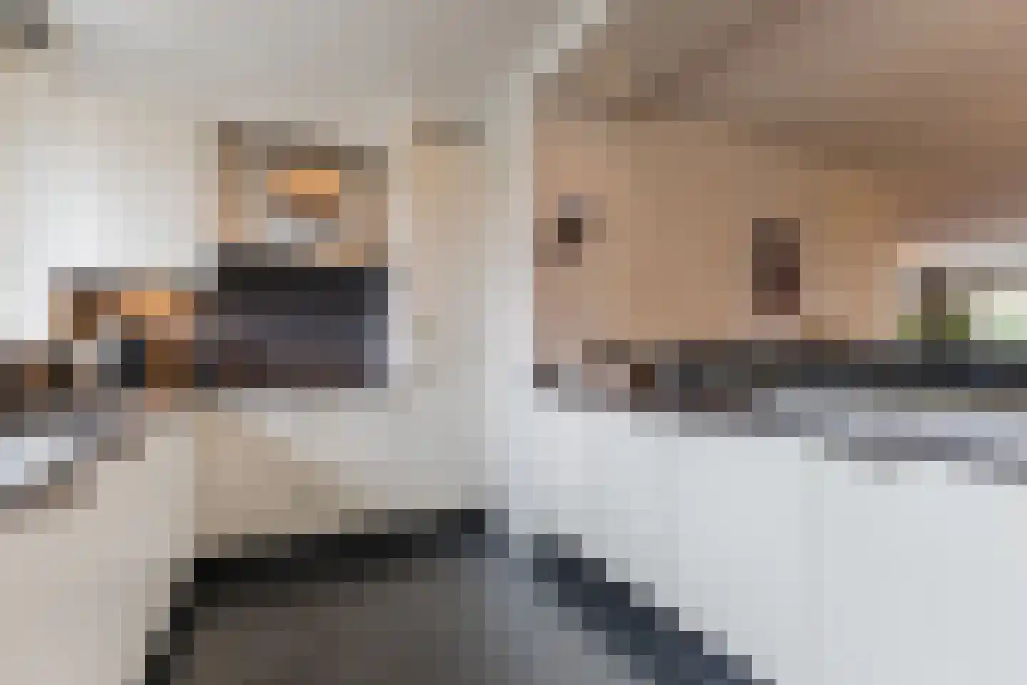 Zaling 98 Papendrecht thumbnail 20