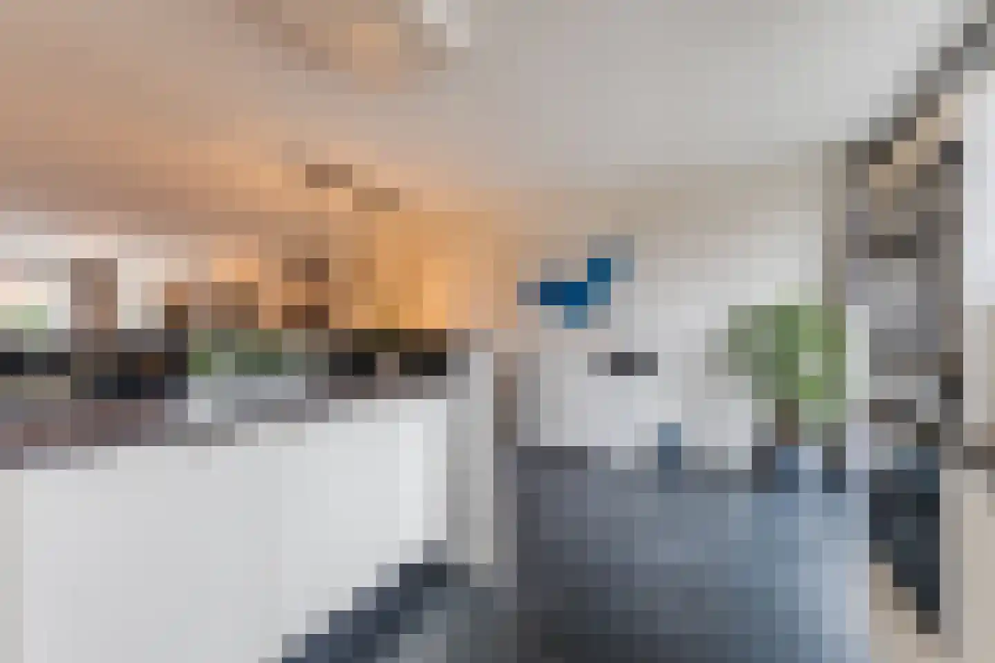 Zaling 98 Papendrecht thumbnail 21