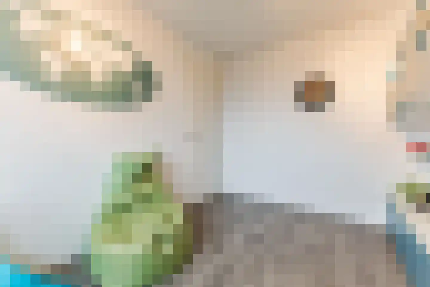 Zaling 98 Papendrecht thumbnail 35