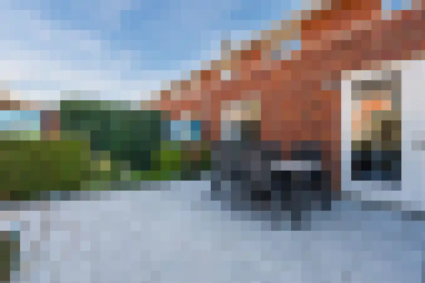 Zaling 98 Papendrecht thumbnail 44