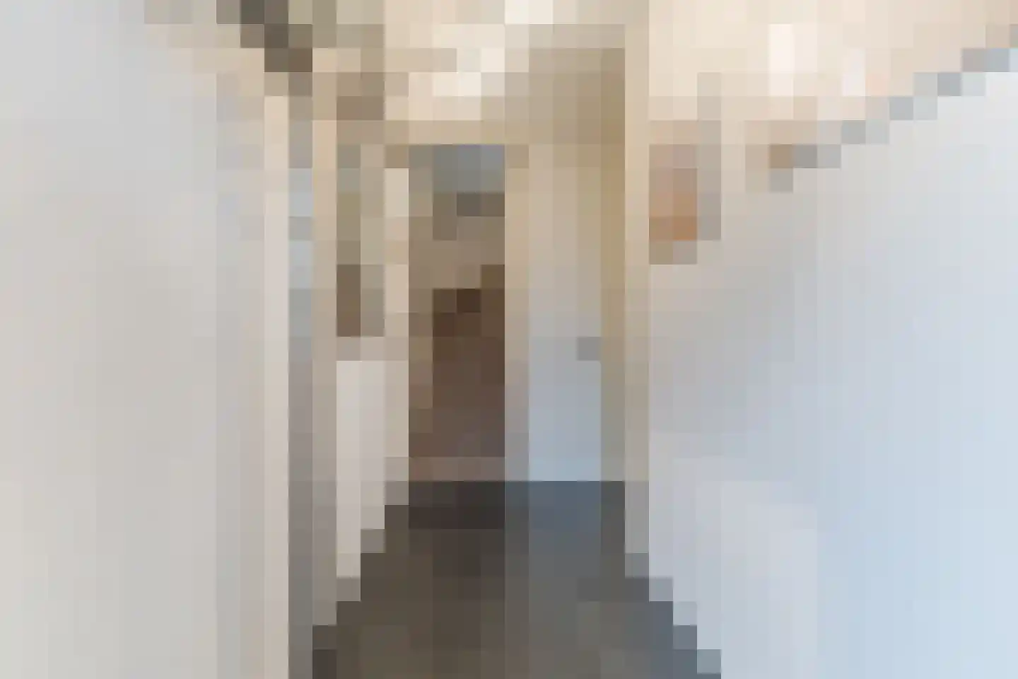 Zaling 98 Papendrecht thumbnail 8