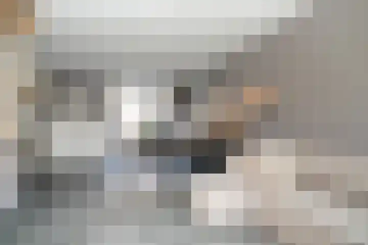 Zalingstraat 10 Nieuwland thumbnail 10