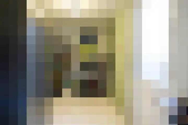 Zalingstraat 10 Nieuwland thumbnail 13