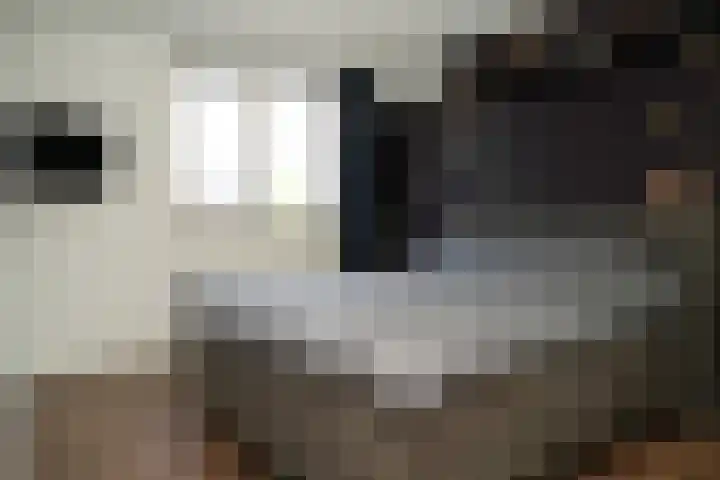 Zalingstraat 10 Nieuwland thumbnail 17