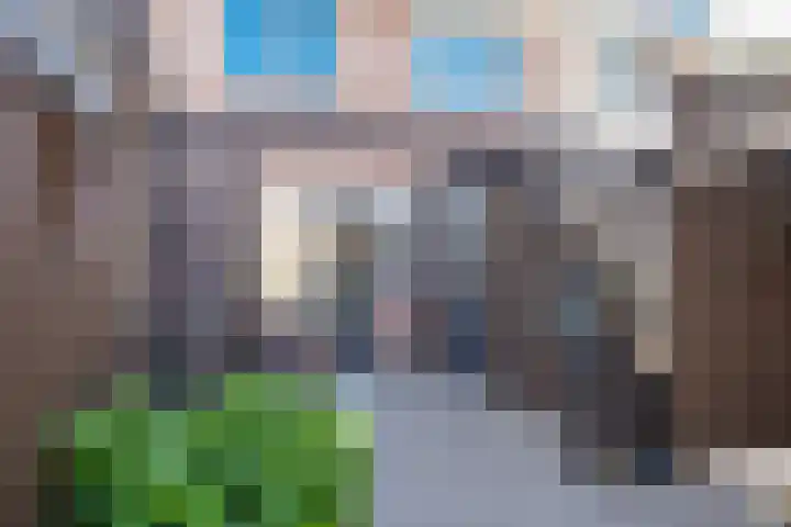 Zalingstraat 10 Nieuwland thumbnail 30