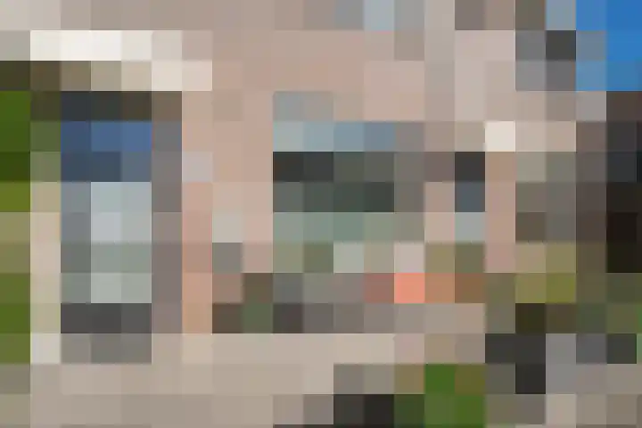 Zalingstraat 10 Nieuwland thumbnail 35