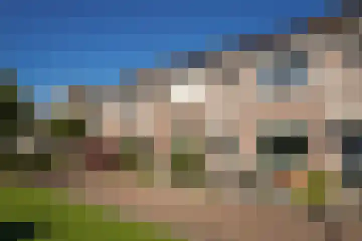 Zalingstraat 10 Nieuwland thumbnail 36