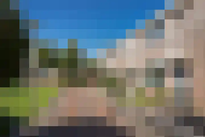 Zalingstraat 10 Nieuwland thumbnail 38