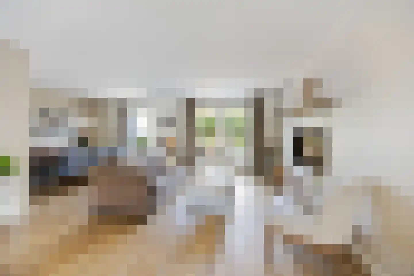 Zalingweide 27 Druten thumbnail 11