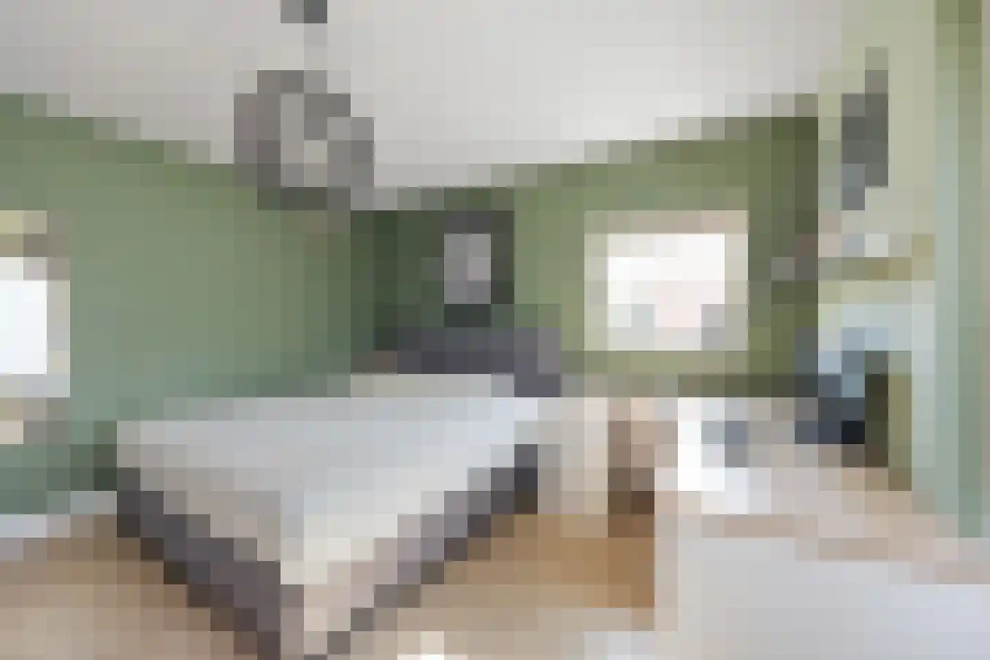 Zalingweide 27 Druten thumbnail 26