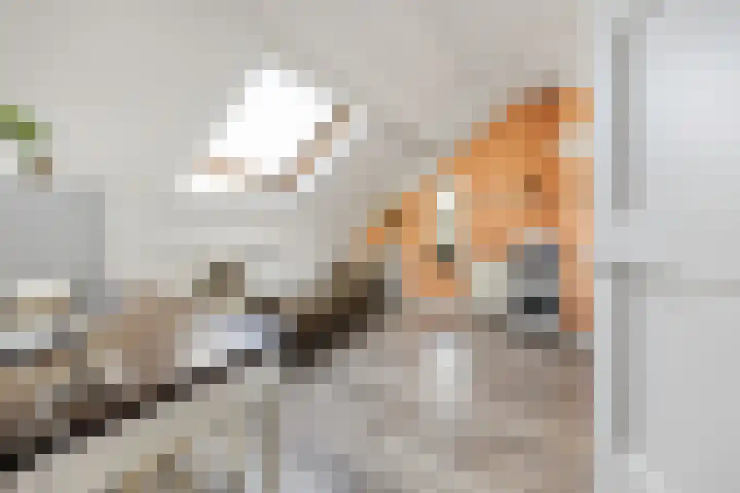 Zalingweide 27 Druten thumbnail 35