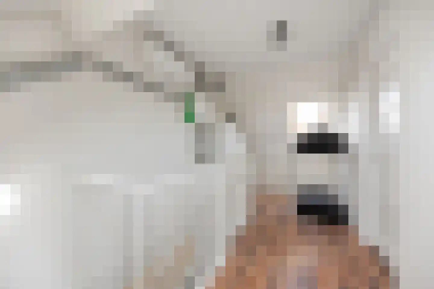 Zalingweide 27 Druten thumbnail 40