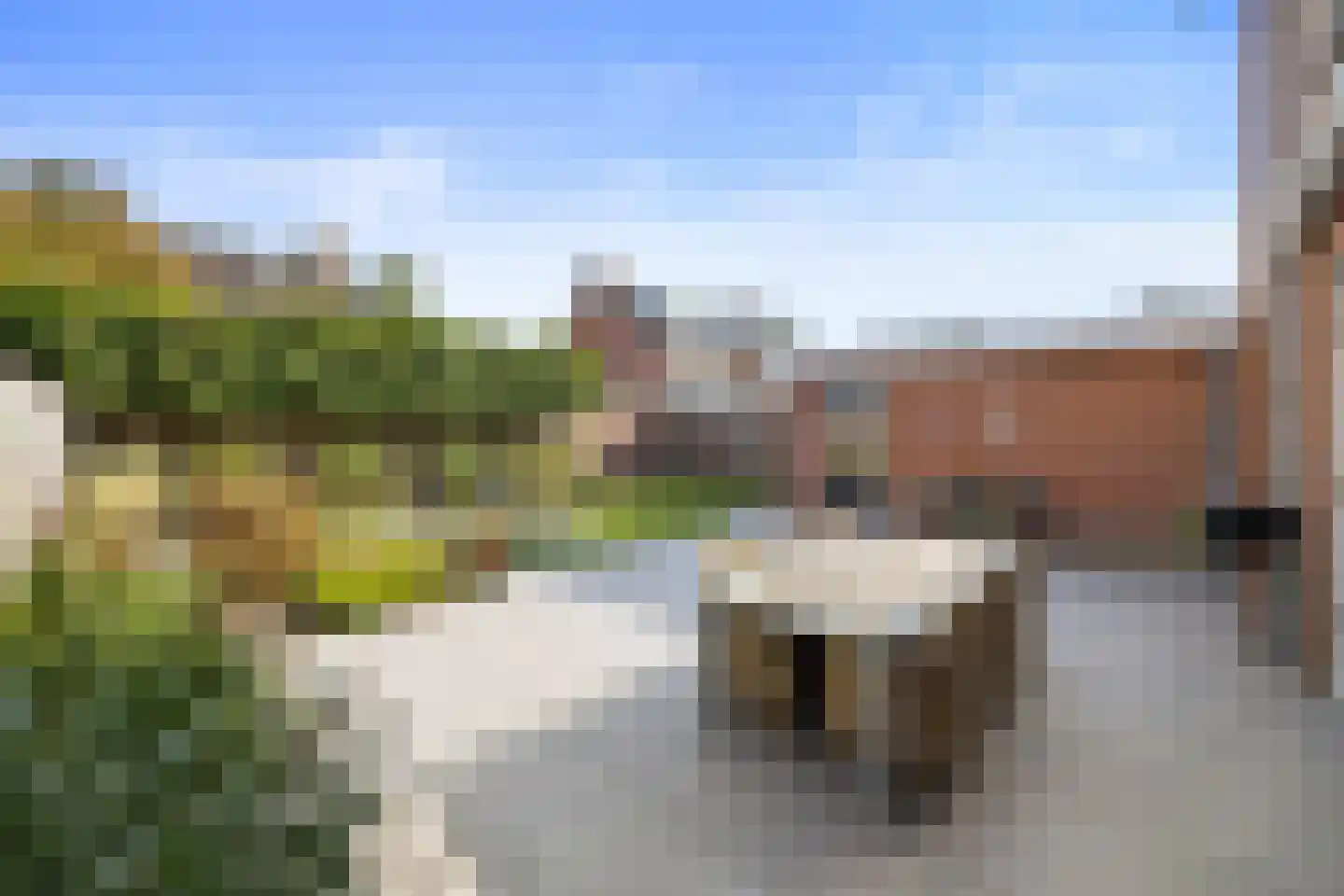 Zalingweide 27 Druten thumbnail 48
