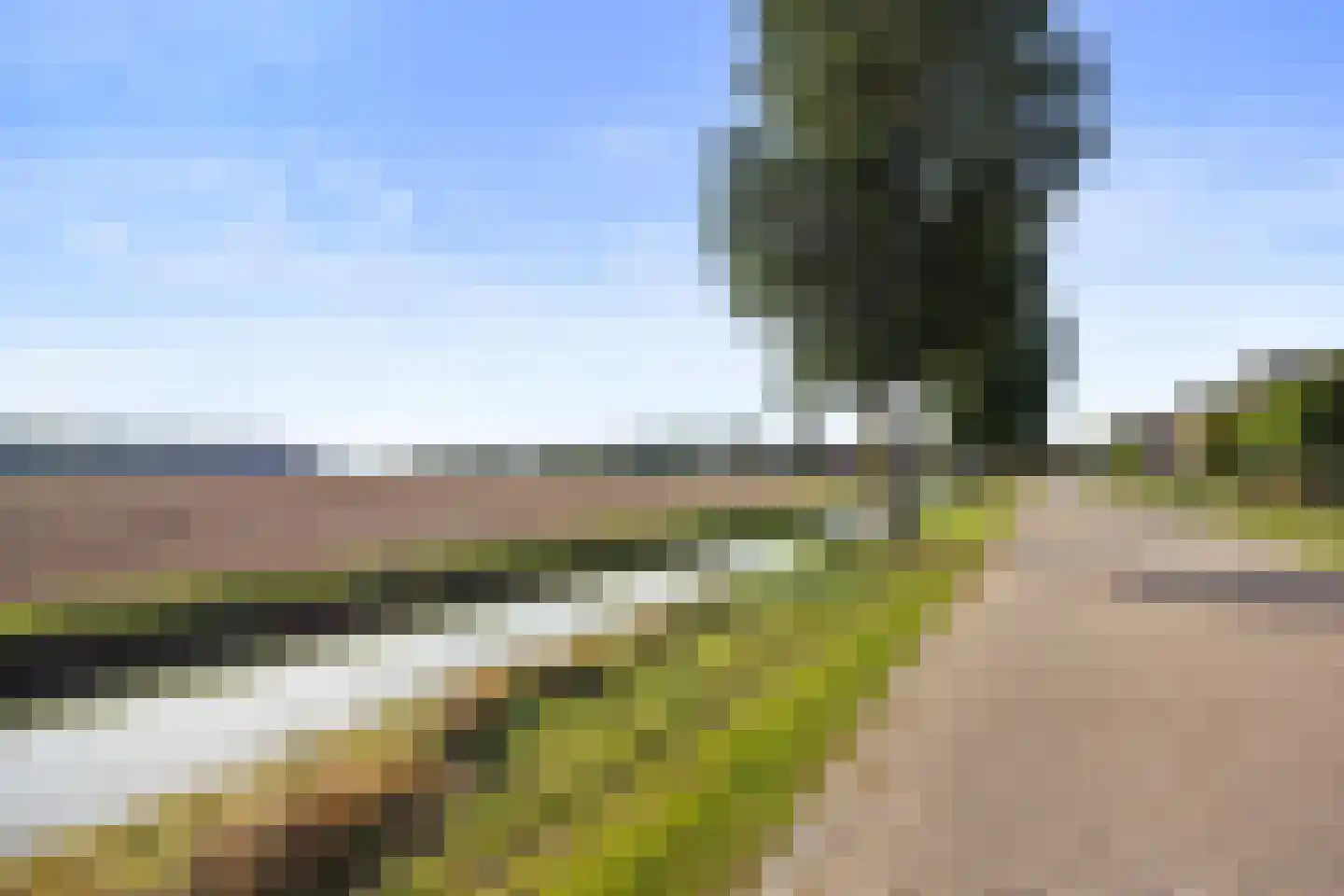 Zalingweide 27 Druten thumbnail 56
