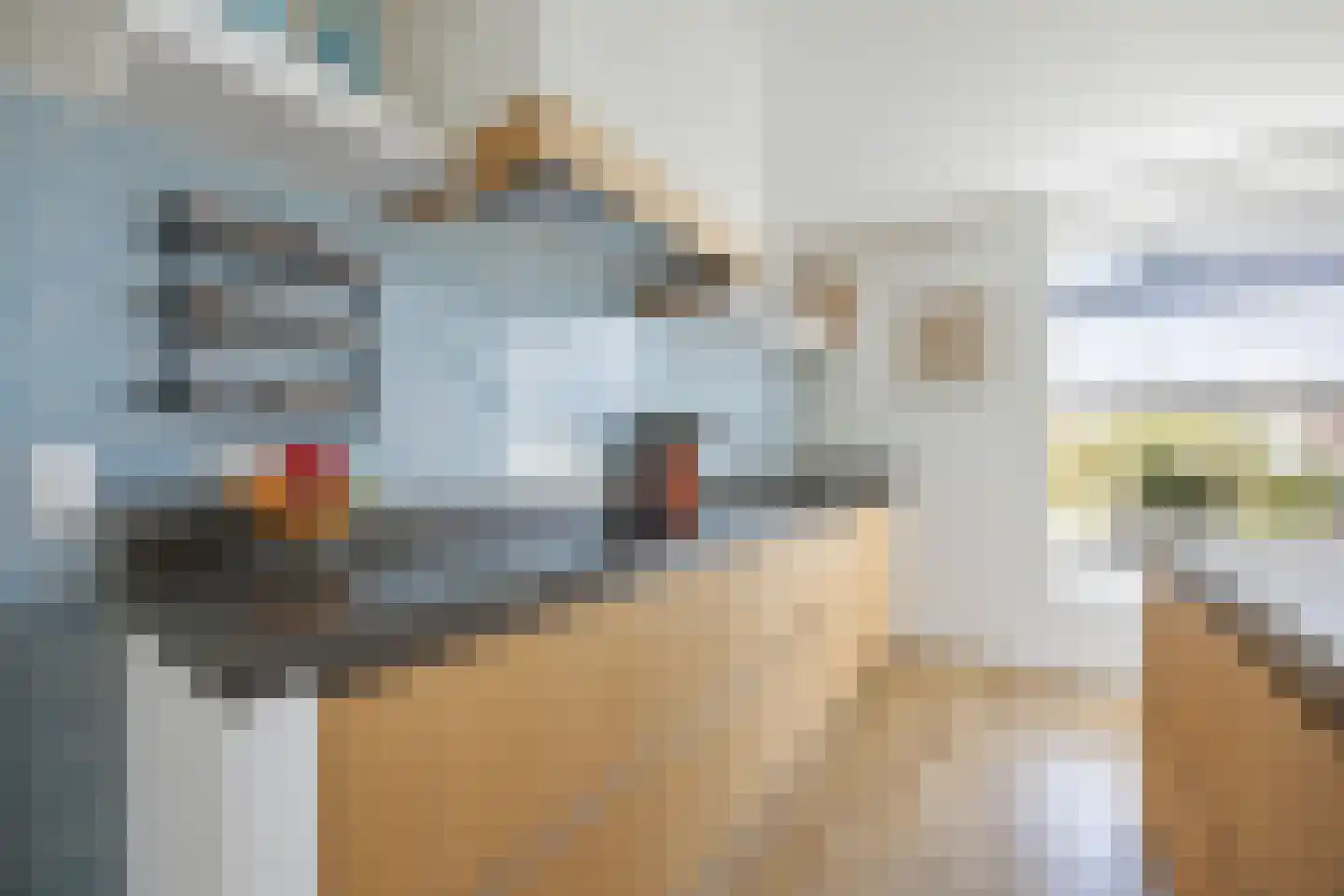 Zalingweide 27 Druten thumbnail 8