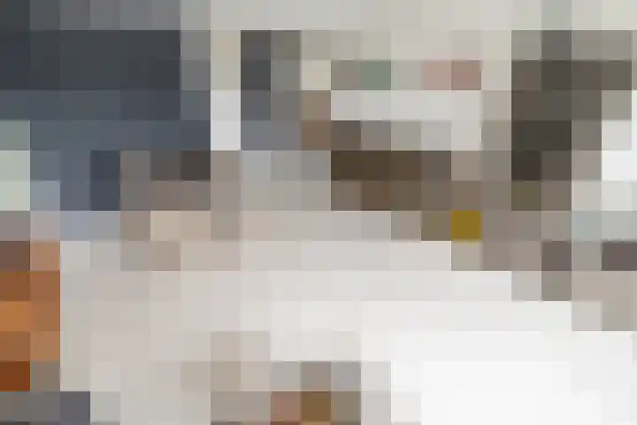 Zalkerbos 10 Zoetermeer thumbnail 12