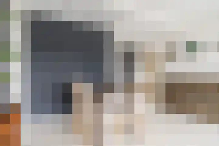Zalkerbos 10 Zoetermeer thumbnail 15