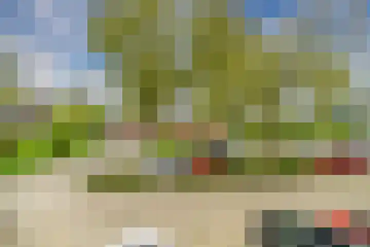Zalkerbos 10 Zoetermeer thumbnail 21