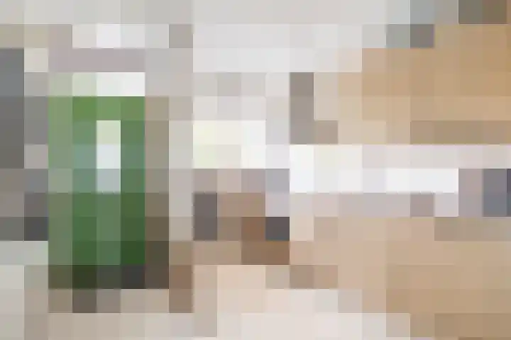 Zalkerbos 10 Zoetermeer thumbnail 24