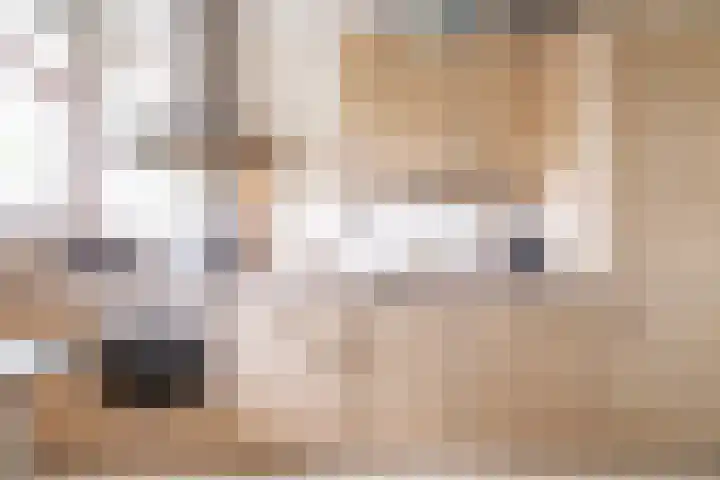 Zalkerbos 10 Zoetermeer thumbnail 26