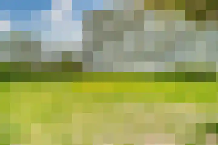 Zalkerbos 10 Zoetermeer thumbnail 34