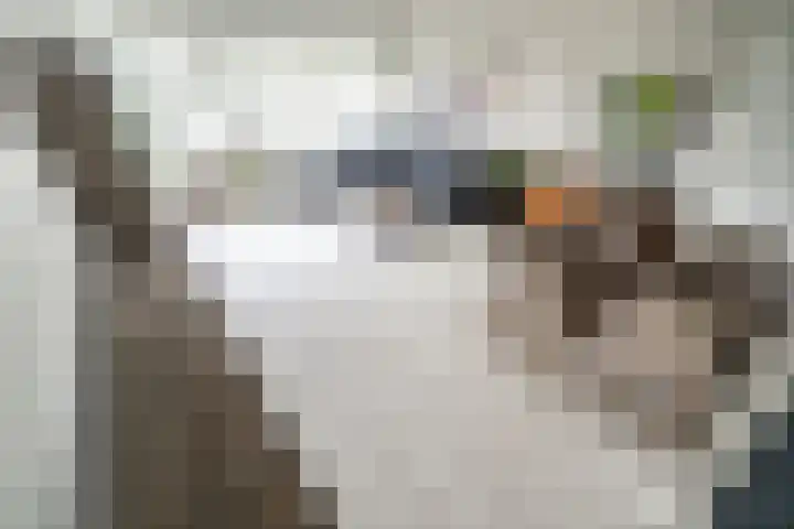 Zalkerbos 10 Zoetermeer thumbnail 4