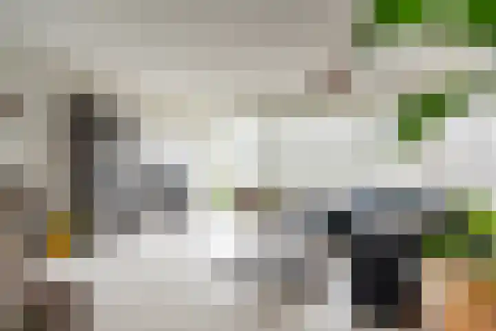 Zalkerbos 10 Zoetermeer thumbnail 5