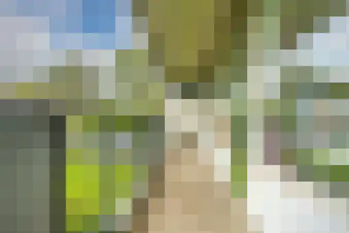 Zalkerbos 10 Zoetermeer thumbnail 6