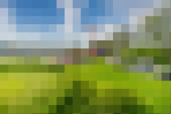Zalkerbos 10 Zoetermeer thumbnail 7