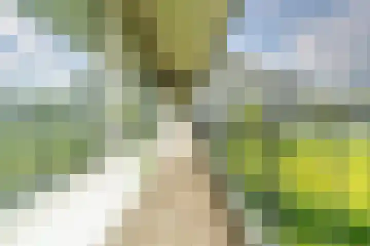 Zalkerbos 10 Zoetermeer thumbnail 8