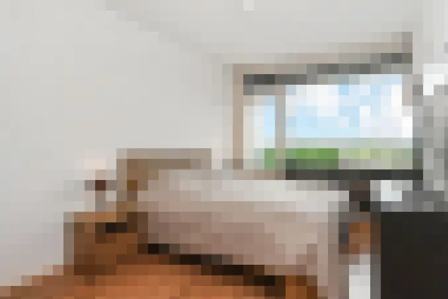 Zalkerbos 123 Zoetermeer thumbnail 17