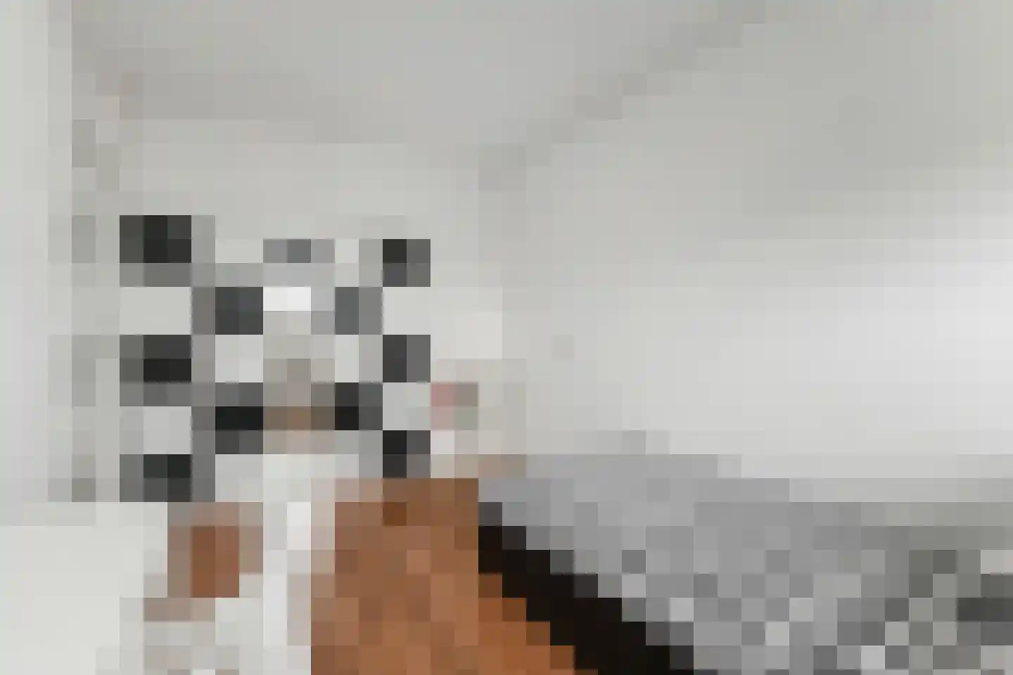 Zalkerbos 123 Zoetermeer thumbnail 22