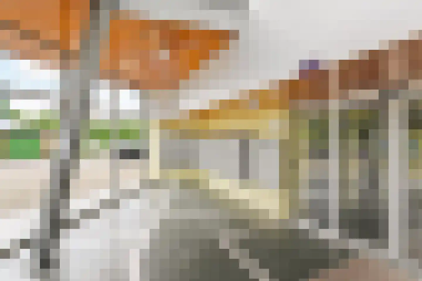Zalkerbos 123 Zoetermeer thumbnail 6