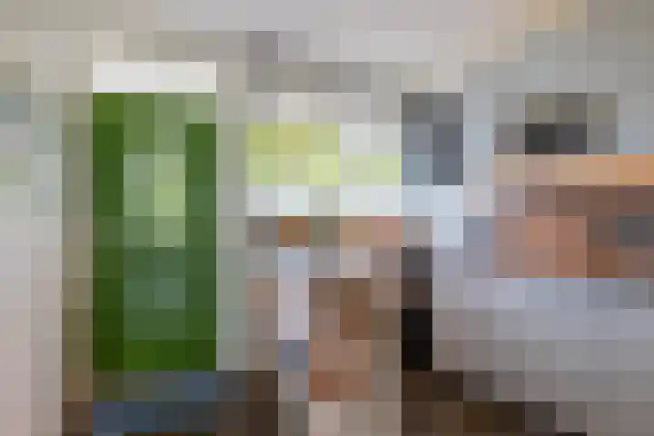 Zalkerbos 16 Zoetermeer thumbnail 12