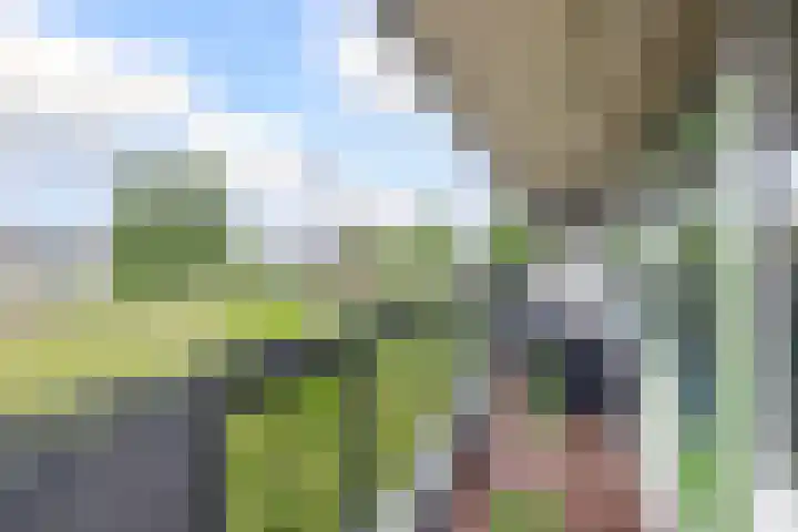 Zalkerbos 16 Zoetermeer thumbnail 18