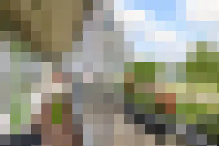 Zalkerbos 16 Zoetermeer thumbnail 19
