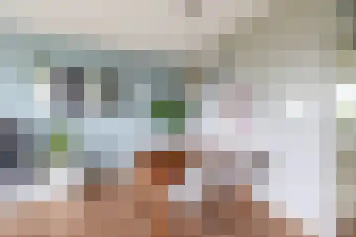 Zalkerbos 16 Zoetermeer thumbnail 20