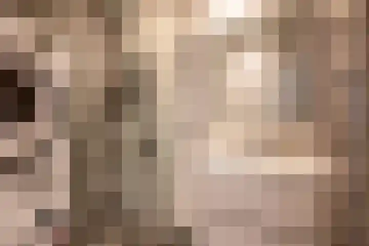 Zalkerbos 16 Zoetermeer thumbnail 29