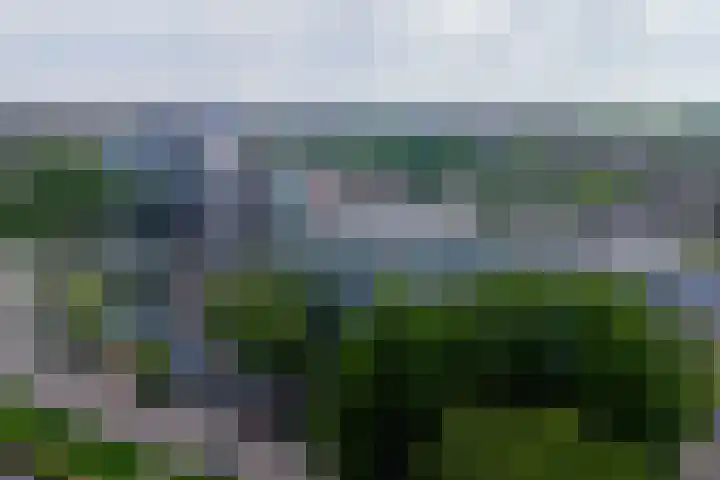 Zalkerbos 16 Zoetermeer thumbnail 37