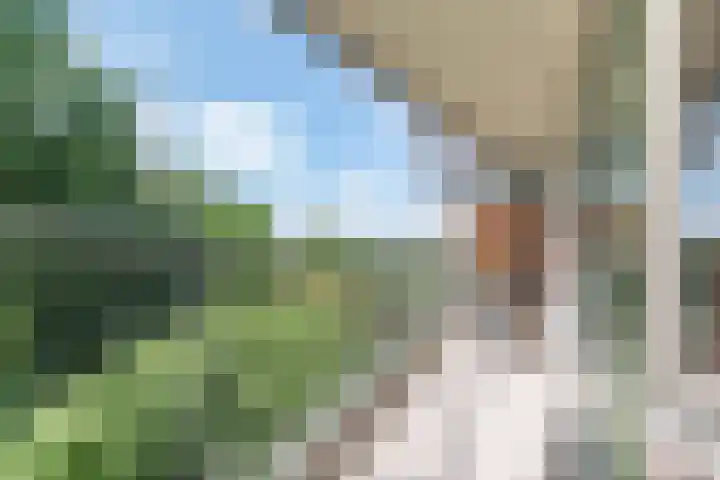 Zalkerbos 191 Zoetermeer thumbnail 17