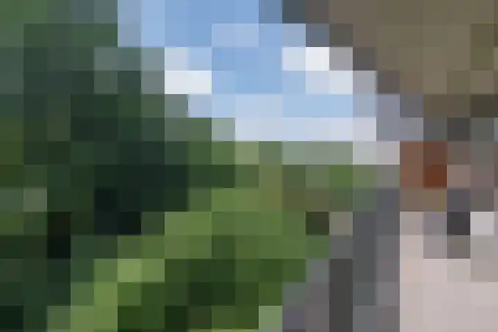 Zalkerbos 191 Zoetermeer thumbnail 20