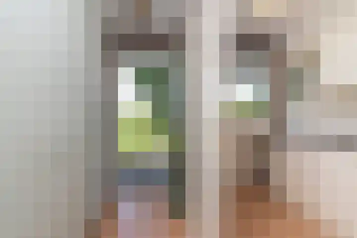 Zalkerbos 191 Zoetermeer thumbnail 7