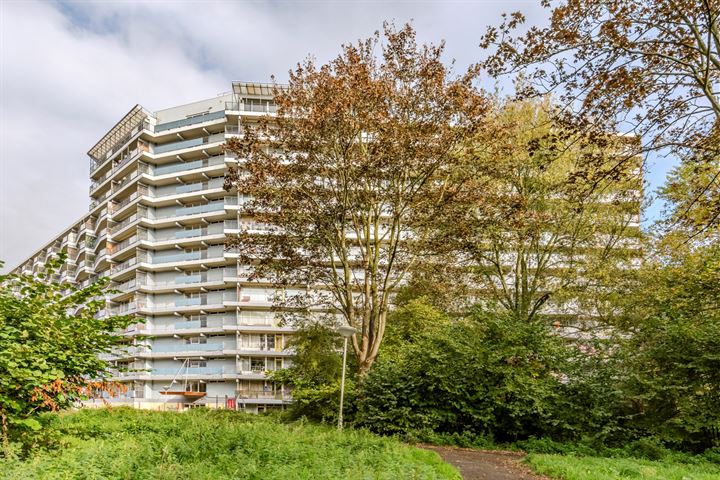 Zalkerbos 192 dans Zoetermeer photo