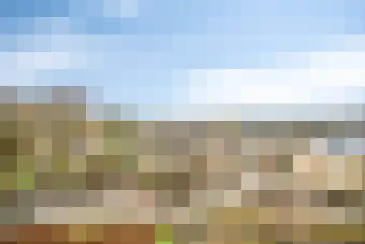 Zalkerbos 218 Zoetermeer thumbnail 10