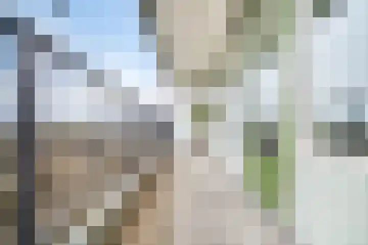 Zalkerbos 218 Zoetermeer thumbnail 11