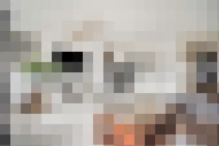 Zalkerbos 218 Zoetermeer thumbnail 14