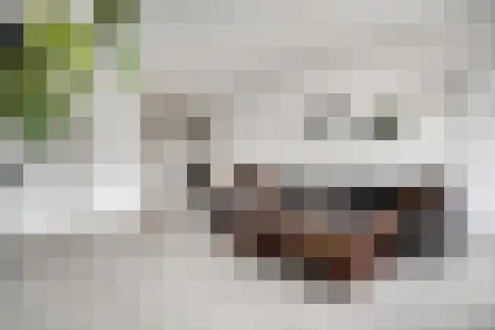 Zalkerbos 218 Zoetermeer thumbnail 15
