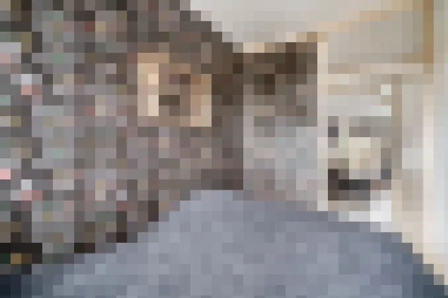 Zalkerbos 218 Zoetermeer thumbnail 22