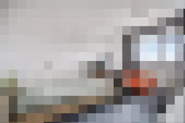 Zalkerbos 218 Zoetermeer thumbnail 32