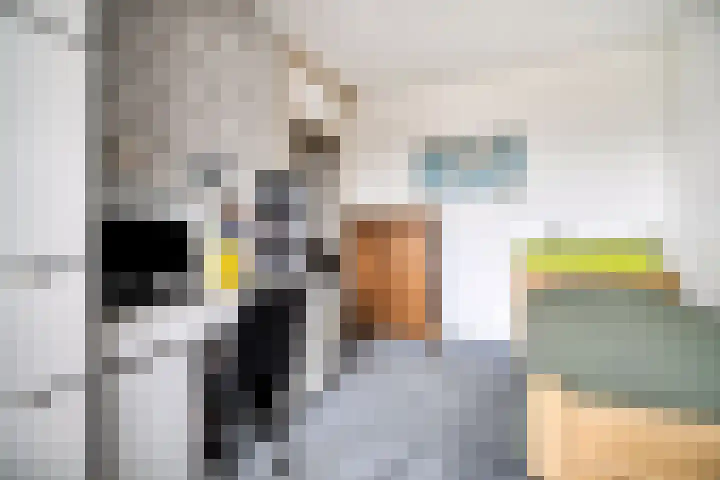 Zalkerbos 218 Zoetermeer thumbnail 32